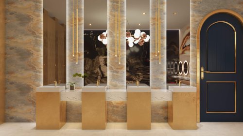 Ladies washroom Cam 01